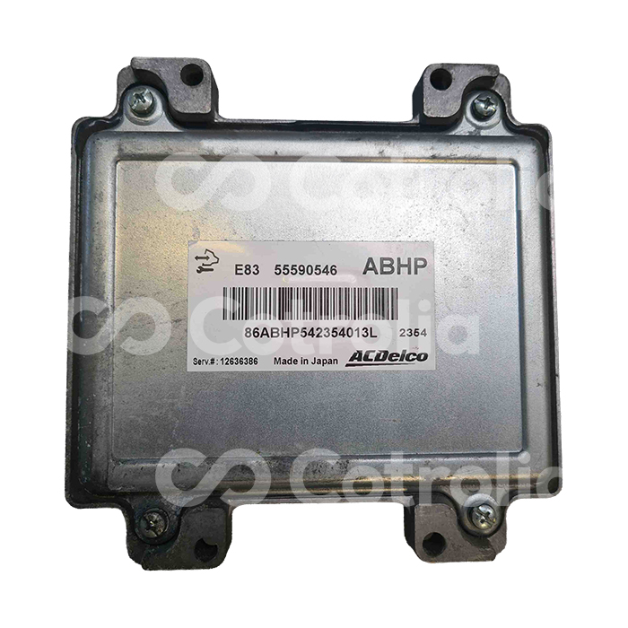 ECU ACDELCO E83 - Calculateur DELCO Chevrolet / Opel